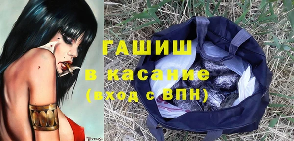 трава Белокуриха