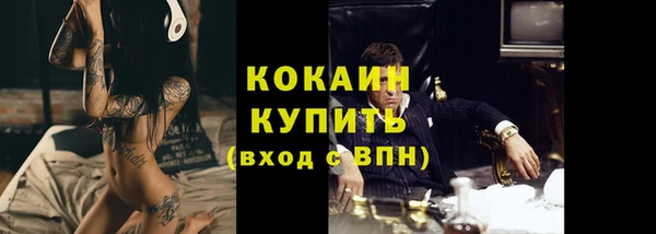 трава Белокуриха