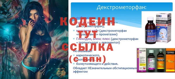 трава Белокуриха
