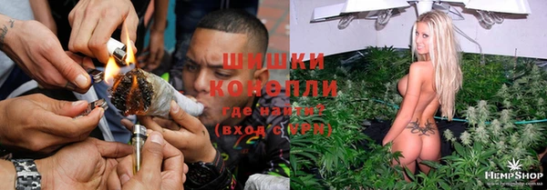 трава Белокуриха