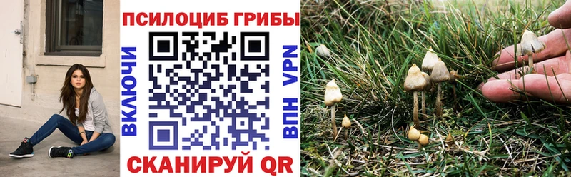 hydra зеркало  Бийск  Псилоцибиновые грибы Psilocybe 