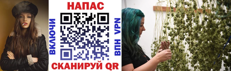 наркота  Бийск  Каннабис тримм 